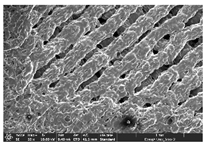Polymers 14 03189 i028