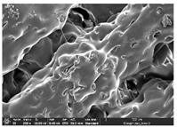 Polymers 14 03189 i029