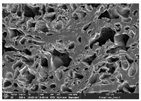 Polymers 14 03189 i035