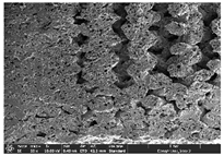 Polymers 14 03189 i037