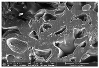 Polymers 14 03189 i039