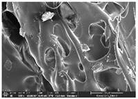 Polymers 14 03189 i042