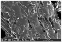 Polymers 14 03189 i044