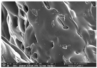 Polymers 14 03189 i045