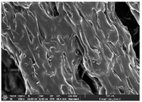 Polymers 14 03189 i047