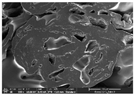 Polymers 14 03189 i054