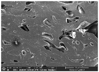 Polymers 14 03189 i057