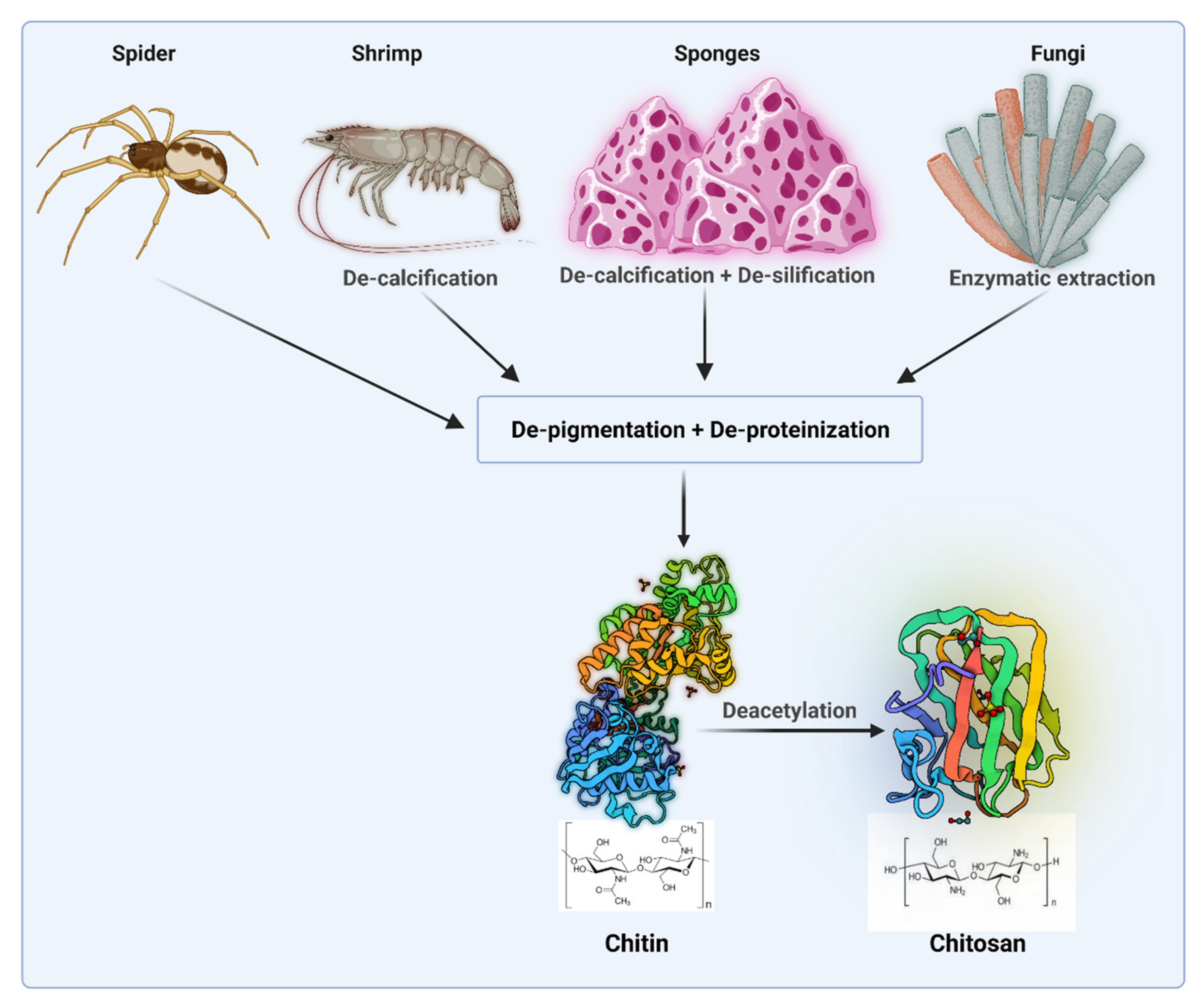 Polymers 14 03192 g001