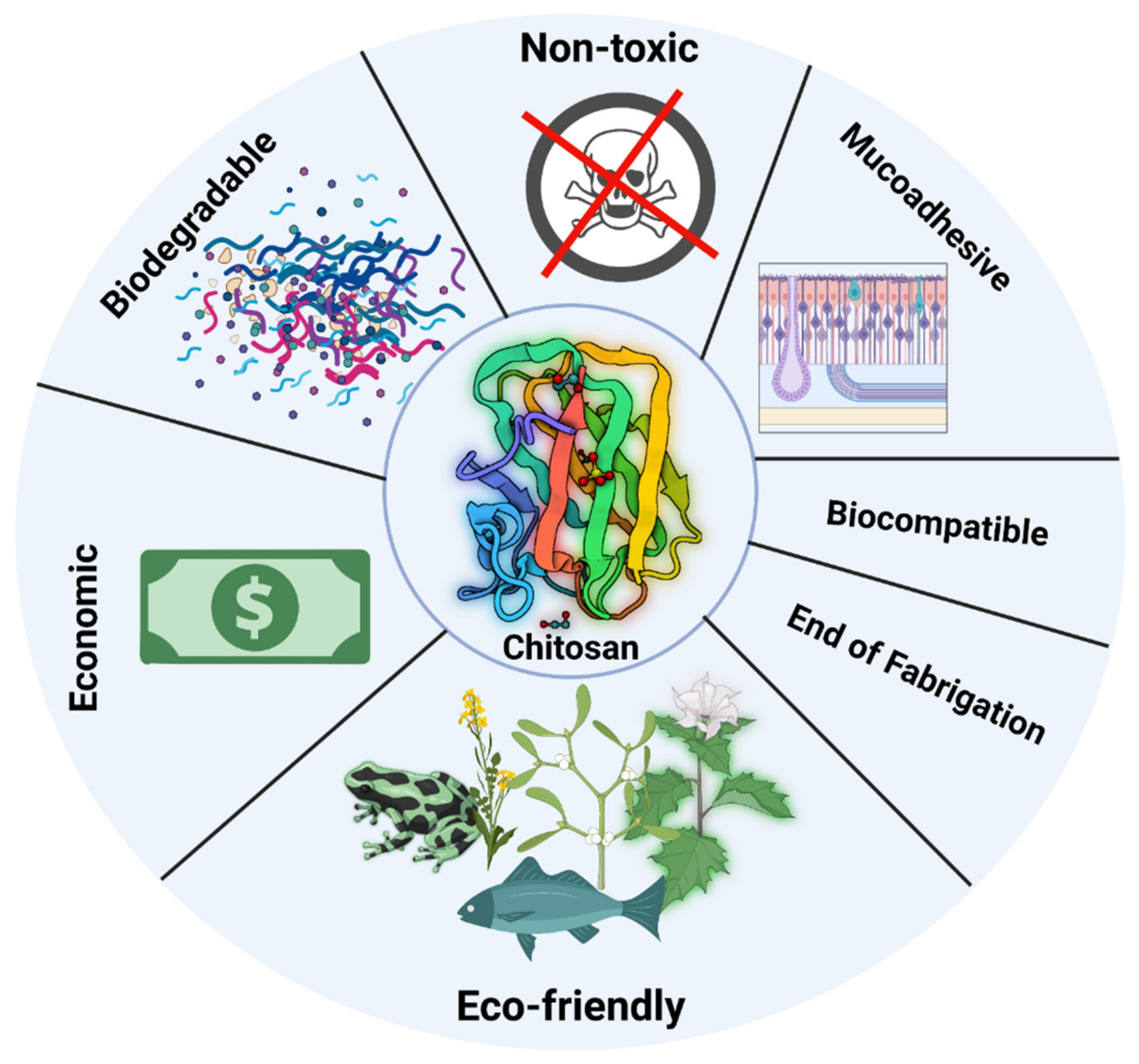 Polymers 14 03192 g003