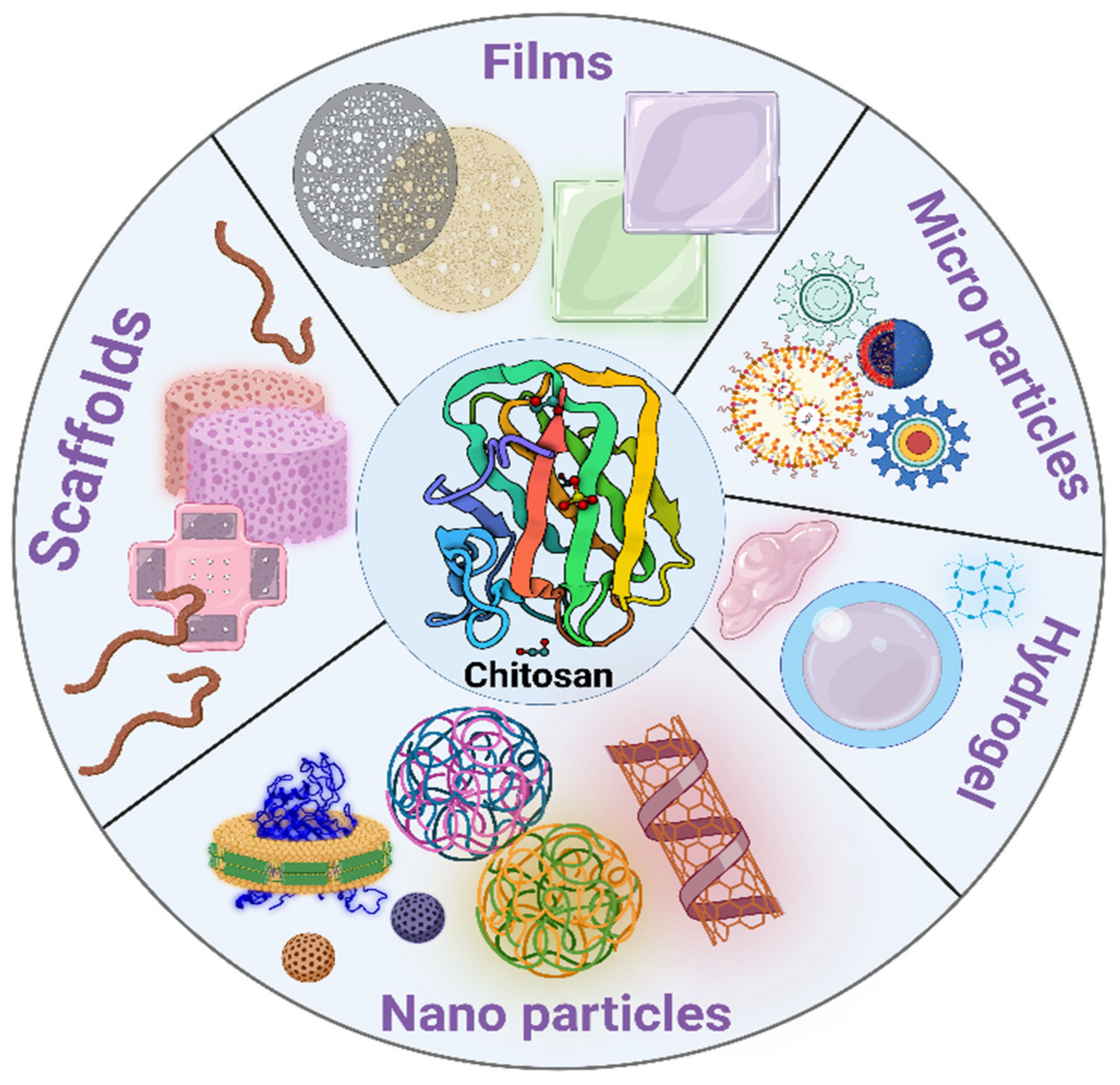 Polymers 14 03192 g004