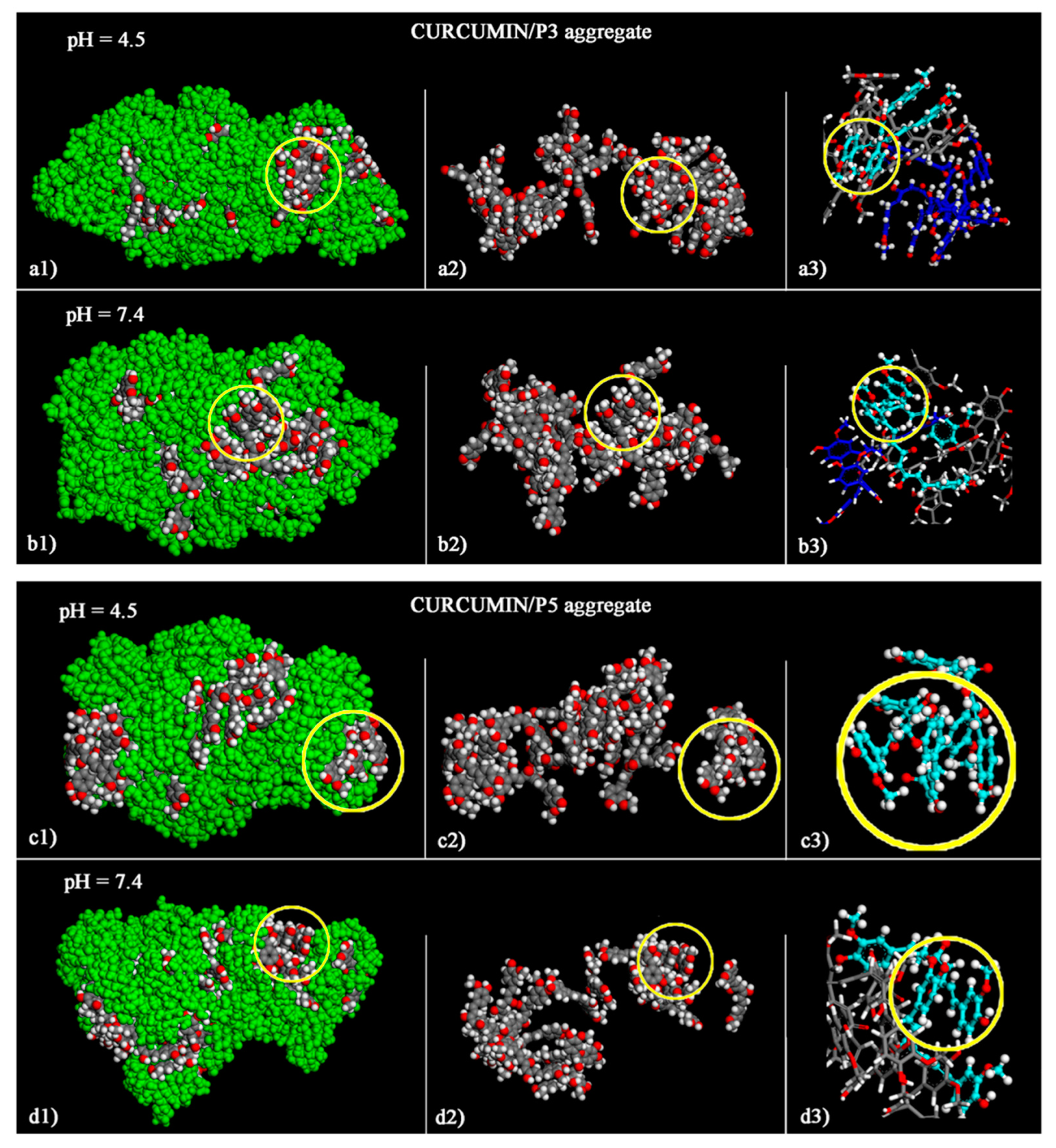 Polymers 14 03193 g004