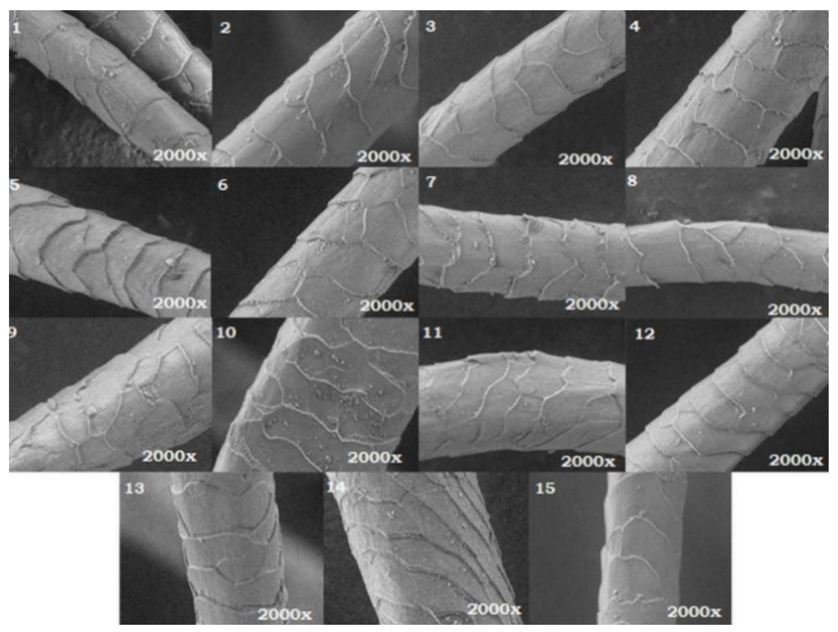 Polymers 14 03194 g010