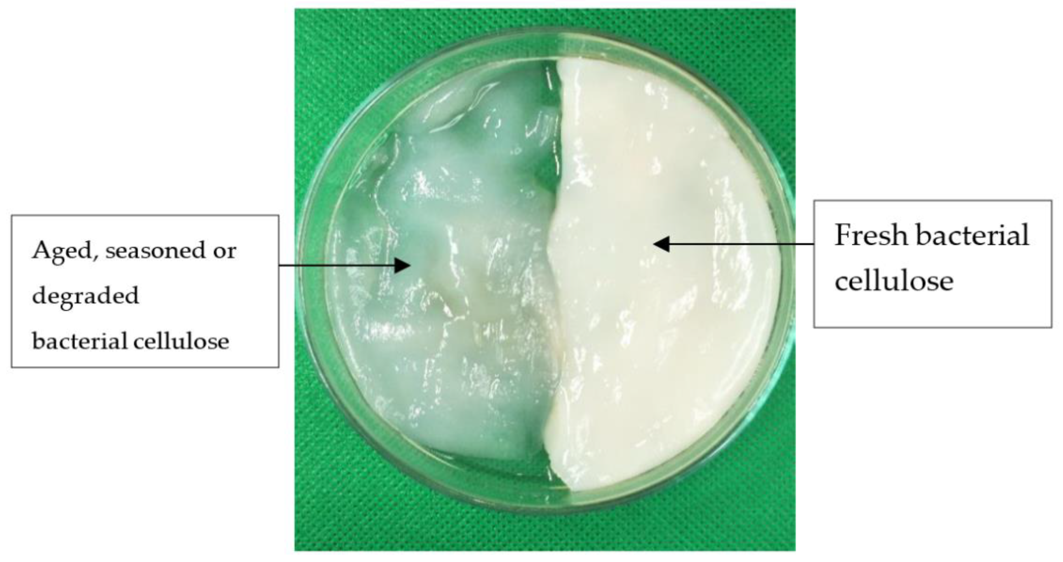 Polymers 14 03196 g001
