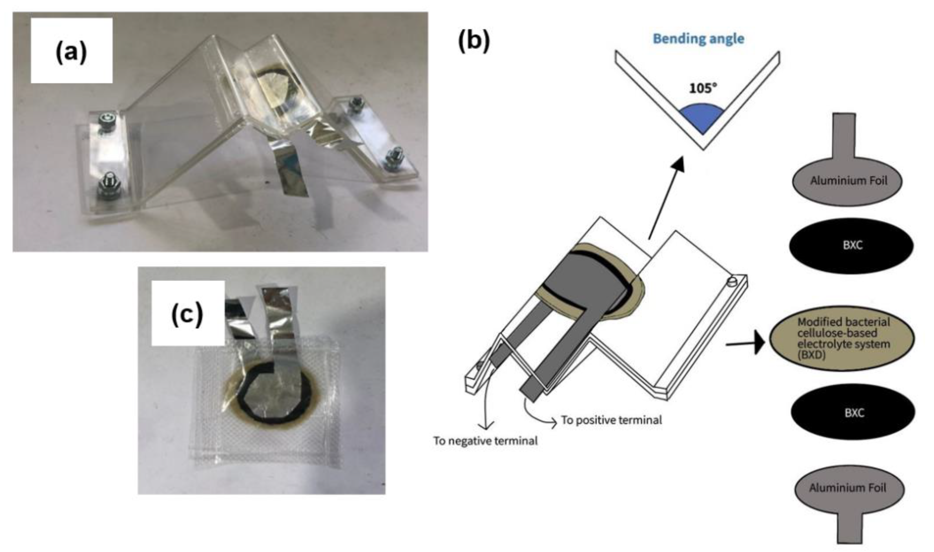 Polymers 14 03196 g003