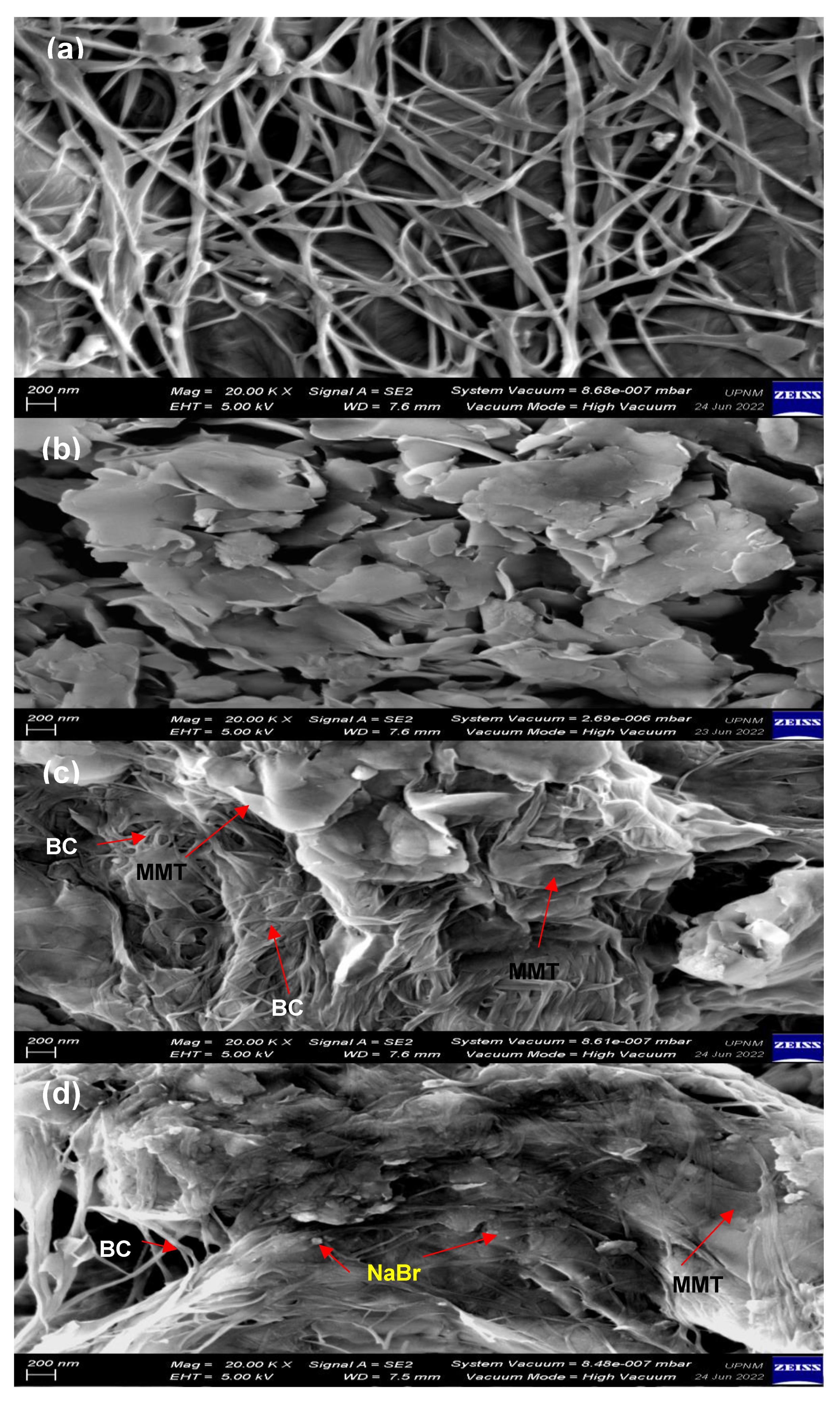 Polymers 14 03196 g008
