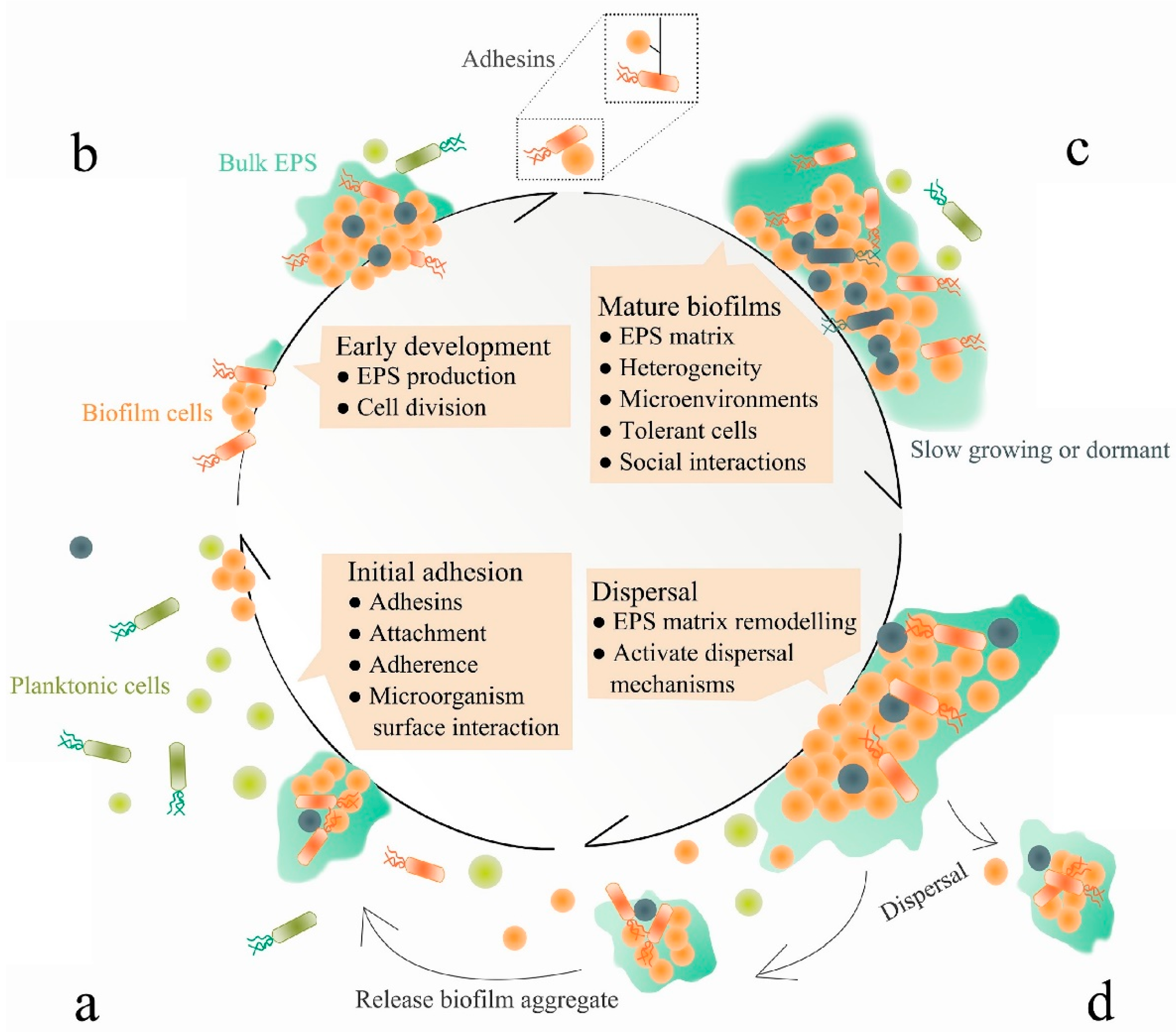 Polymers 14 03198 g002