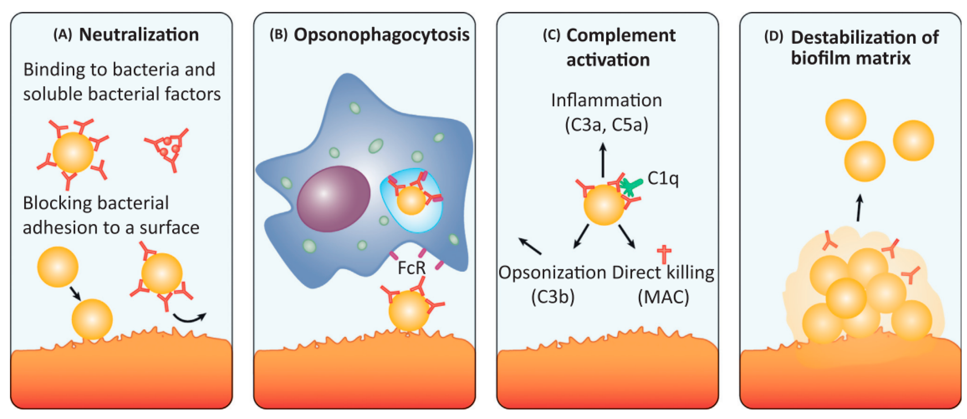 Polymers 14 03198 g003
