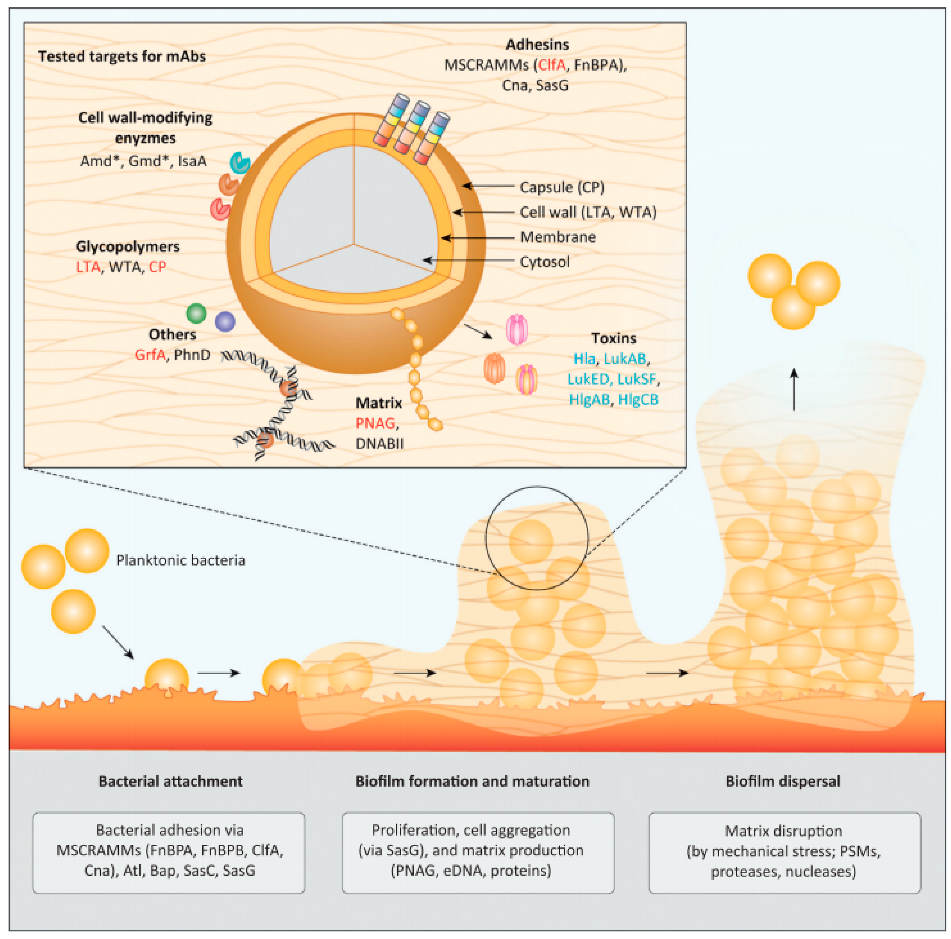 Polymers 14 03198 g004