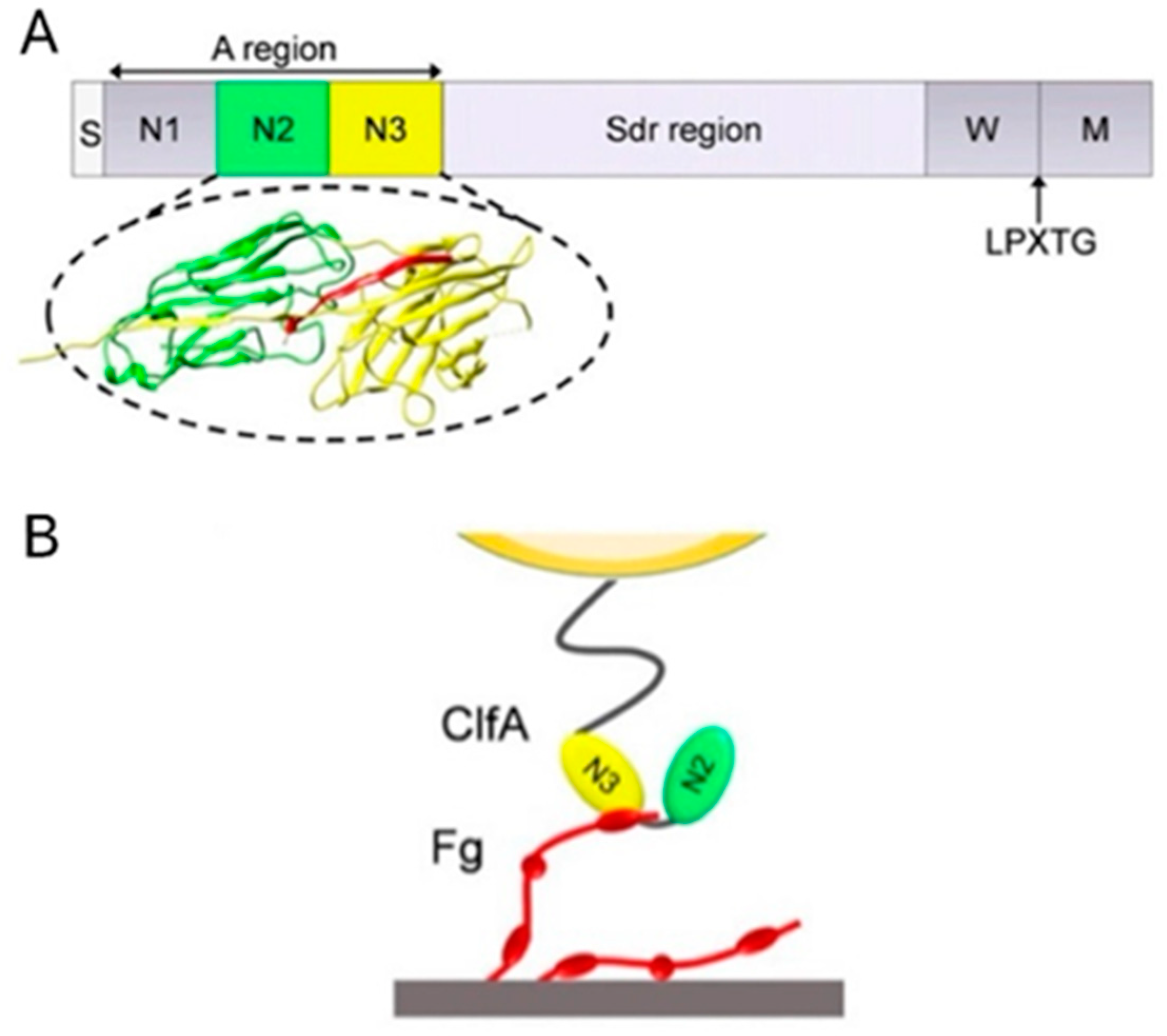 Polymers 14 03198 g005