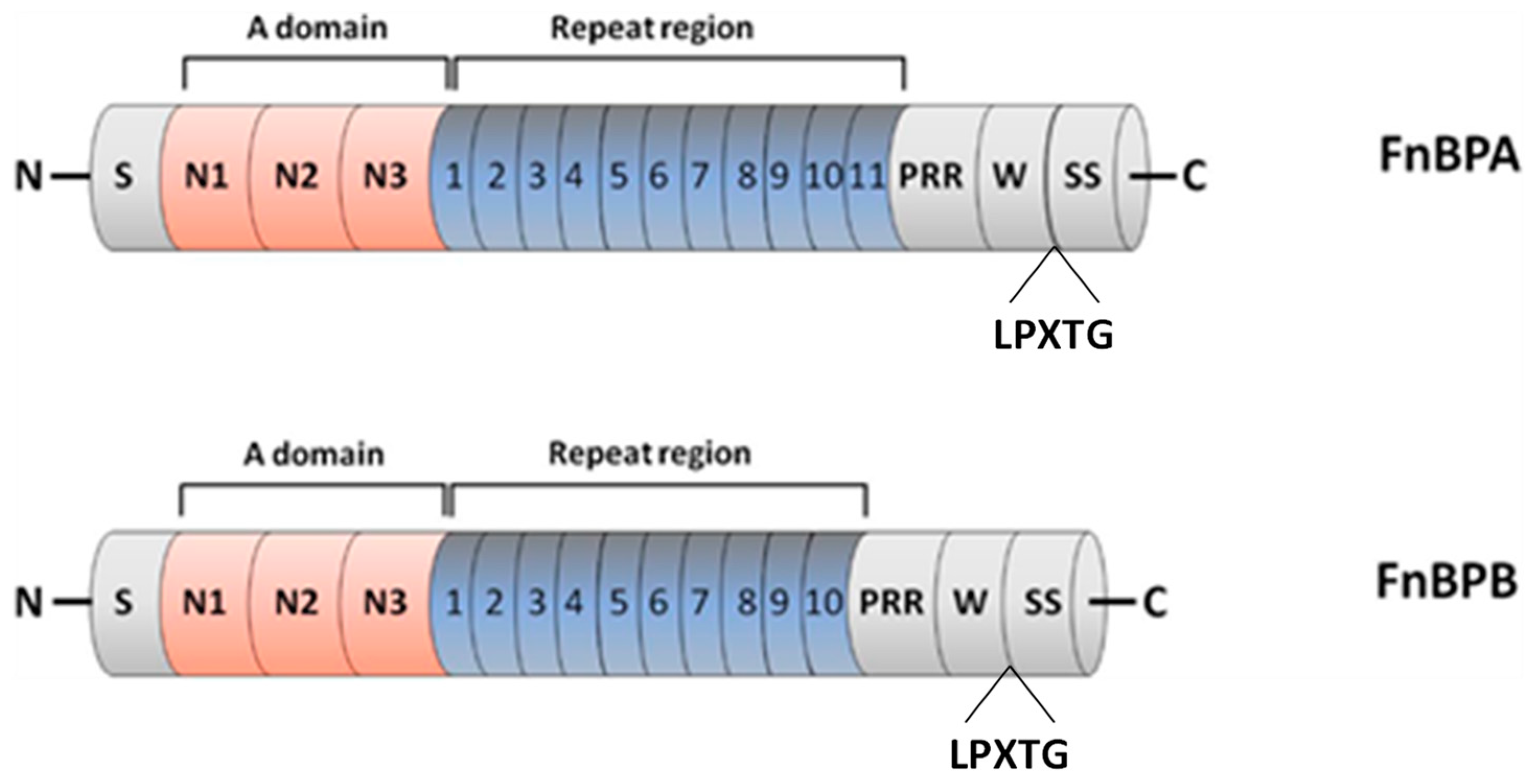 Polymers 14 03198 g006