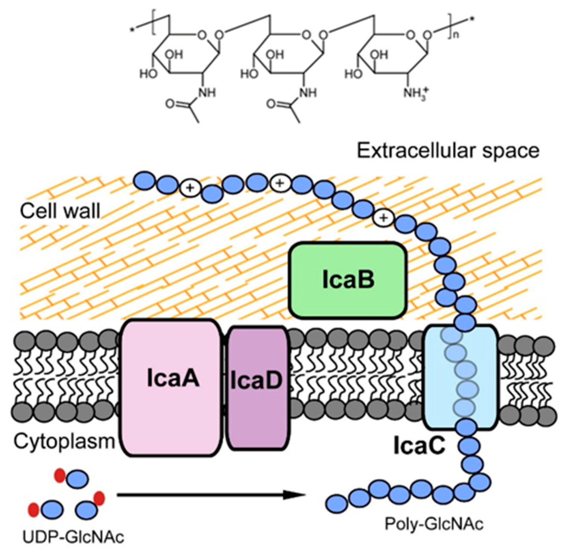 Polymers 14 03198 g007