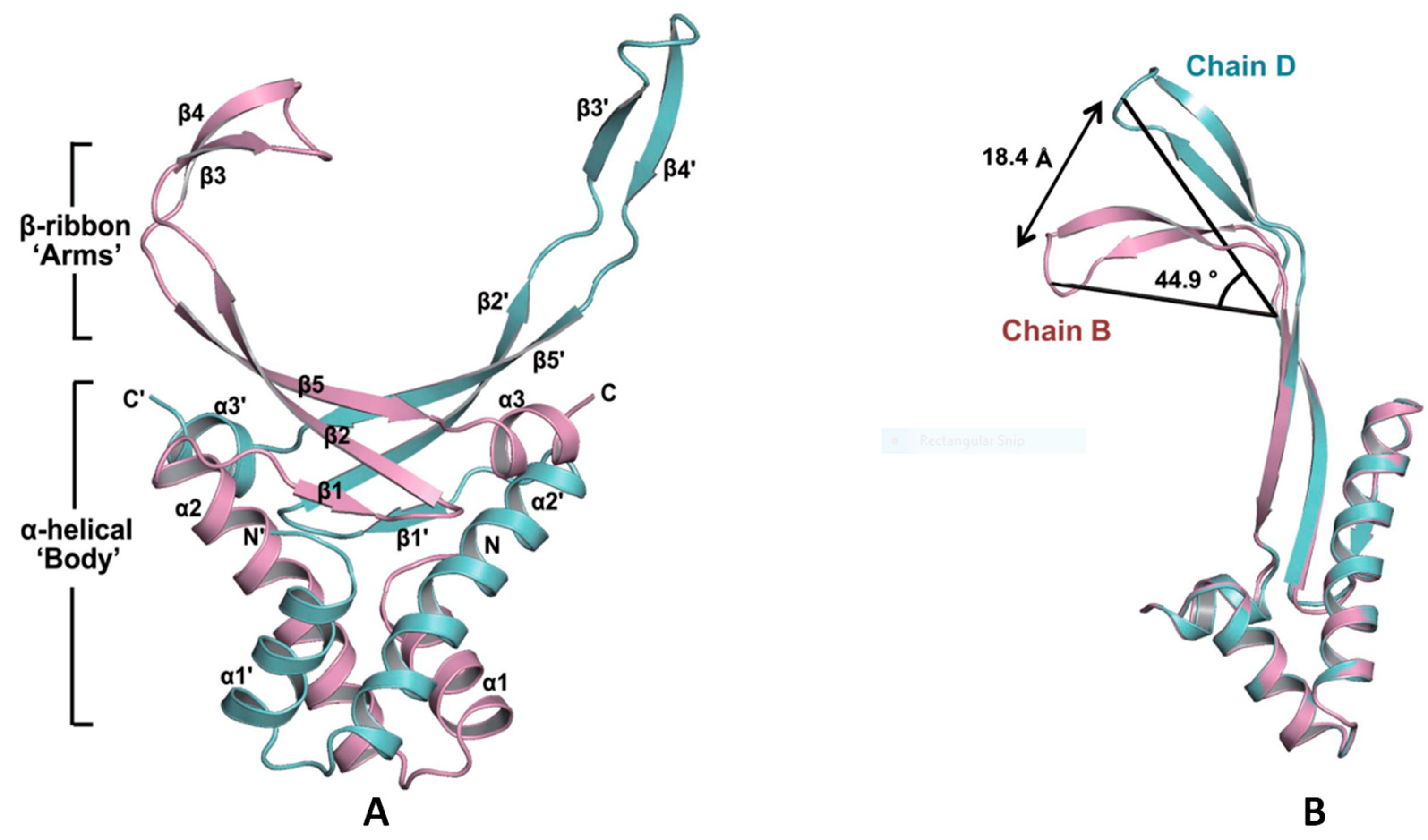Polymers 14 03198 g009a