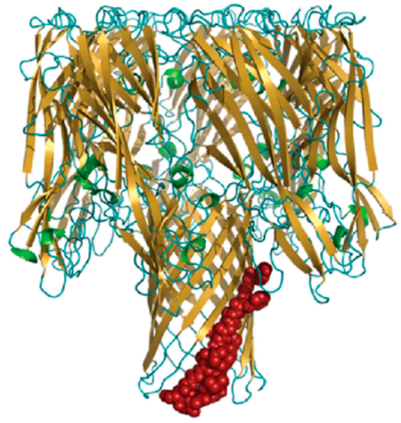 Polymers 14 03198 g010