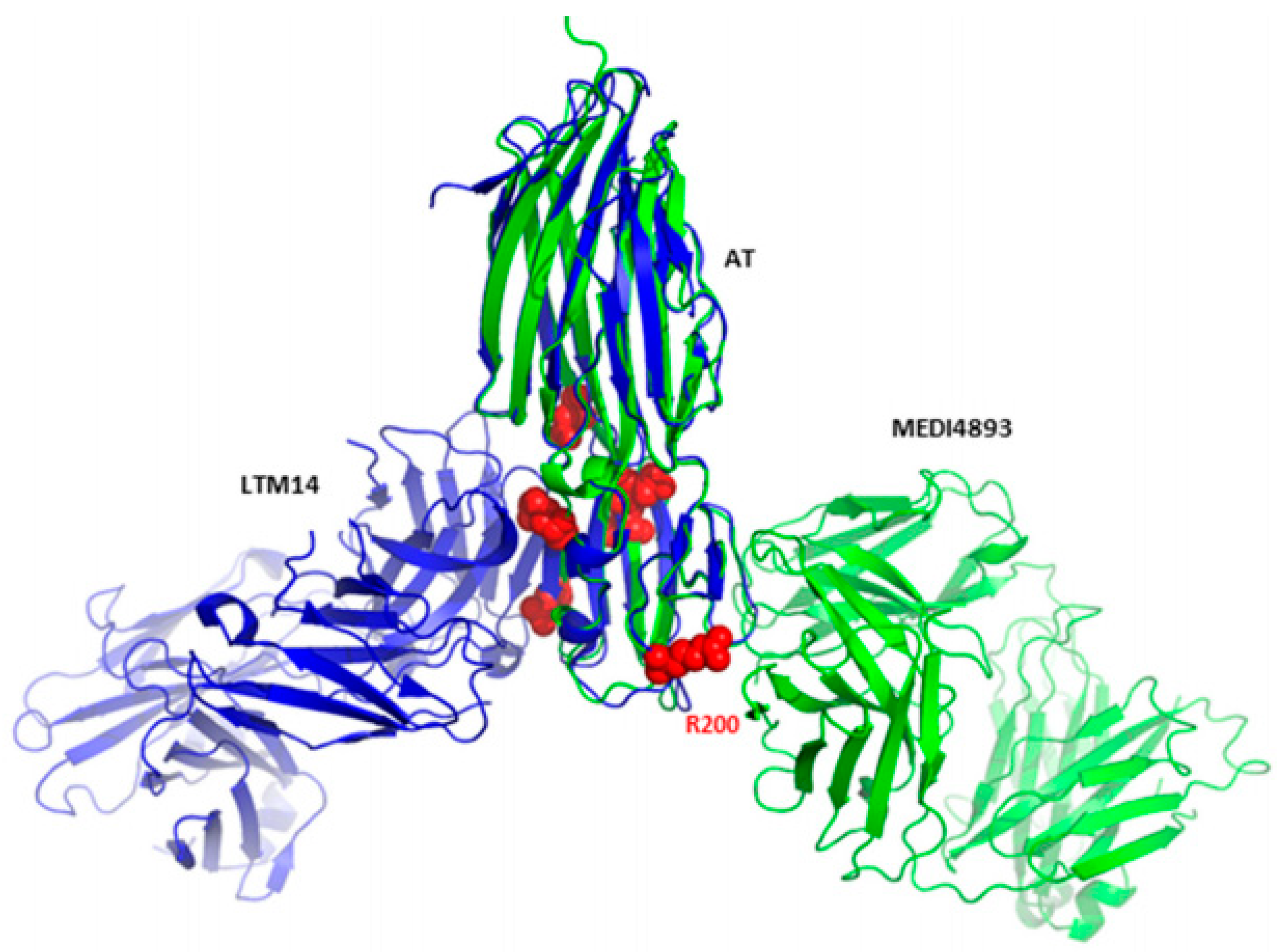 Polymers 14 03198 g012