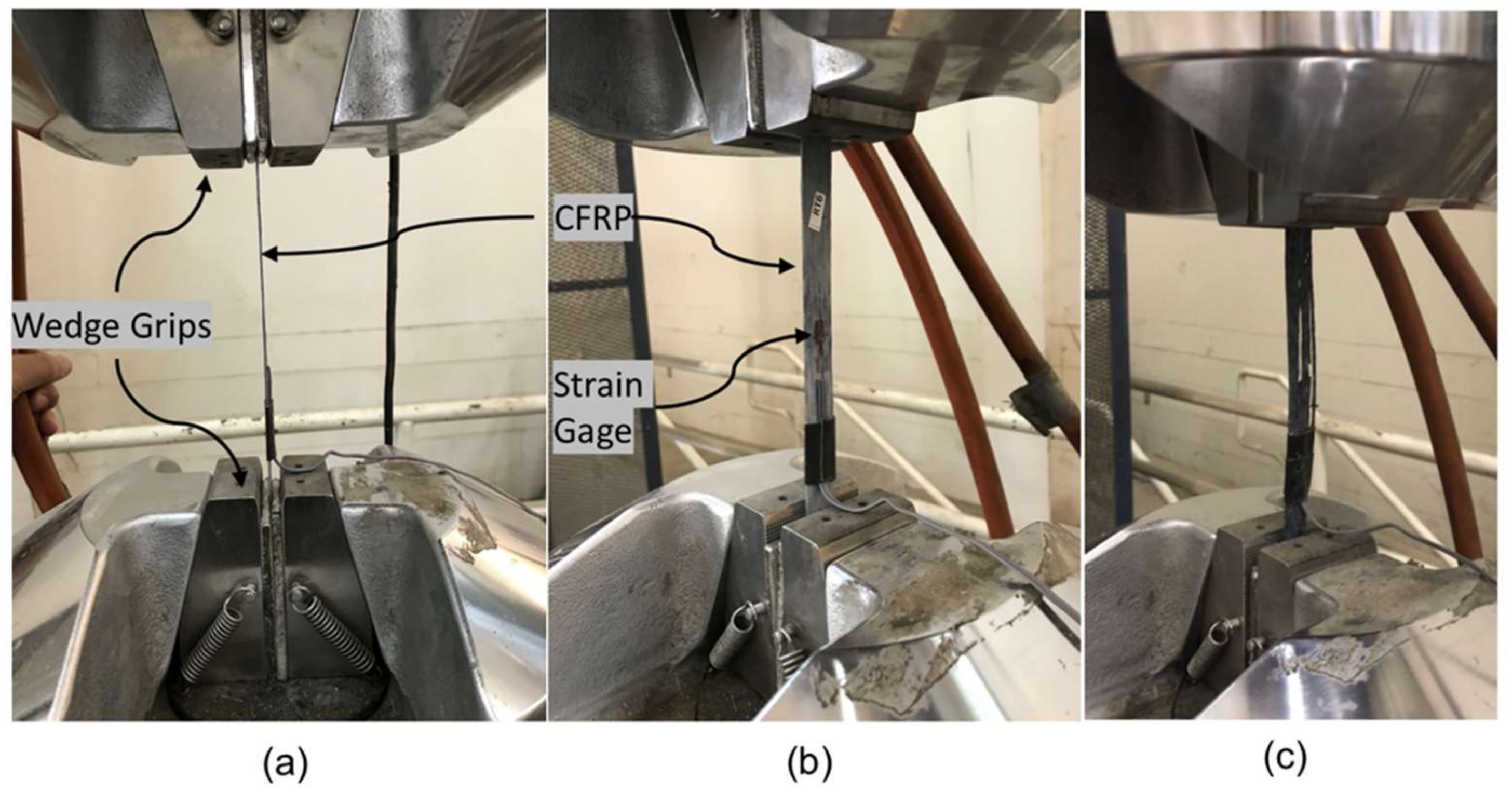 Polymers 14 03207 g008
