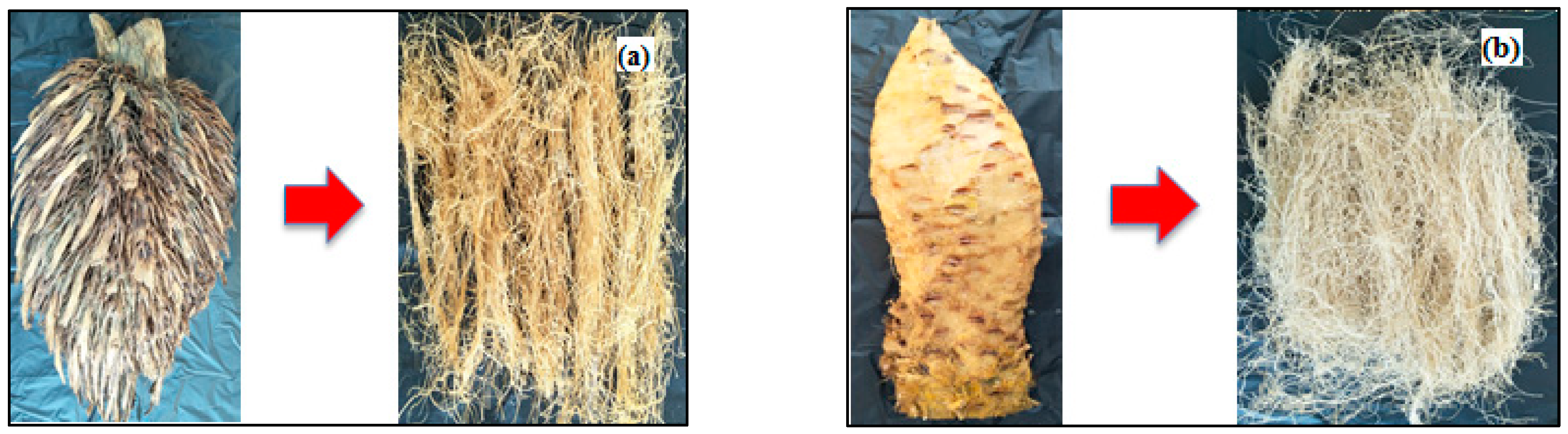 Polymers 14 03208 g002