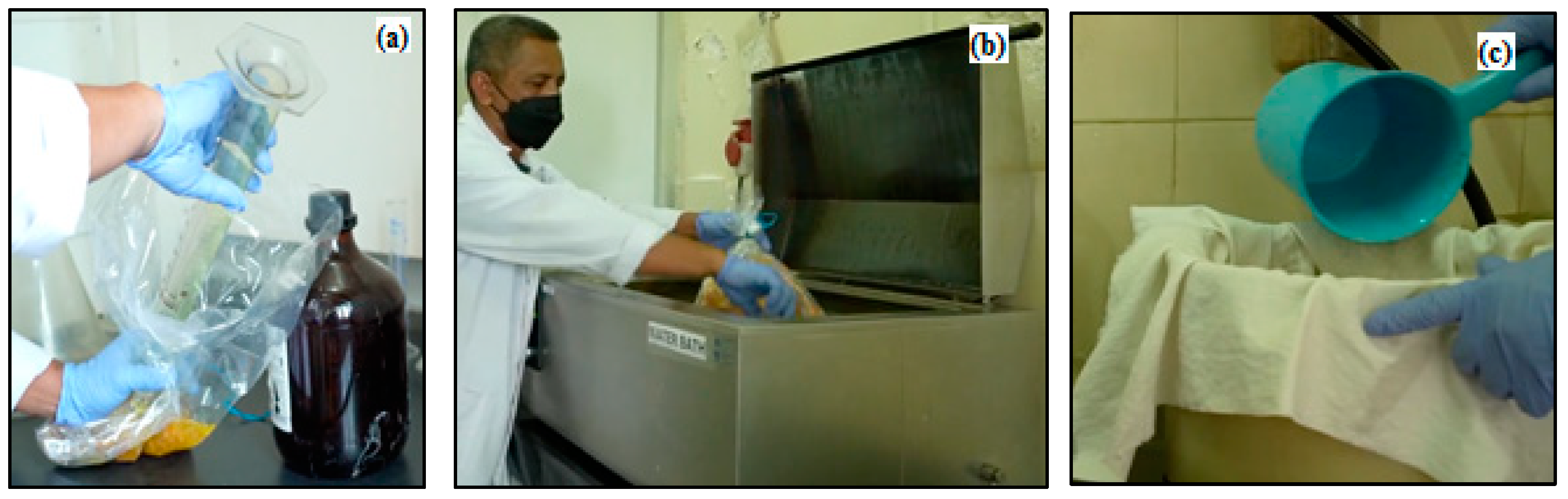 Polymers 14 03208 g006