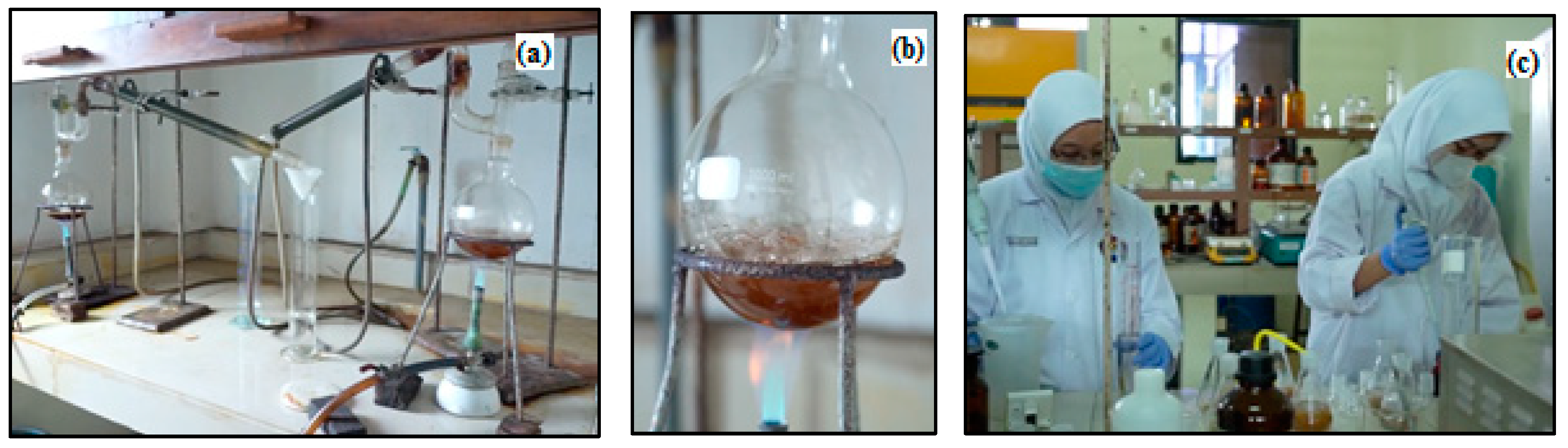 Polymers 14 03208 g007