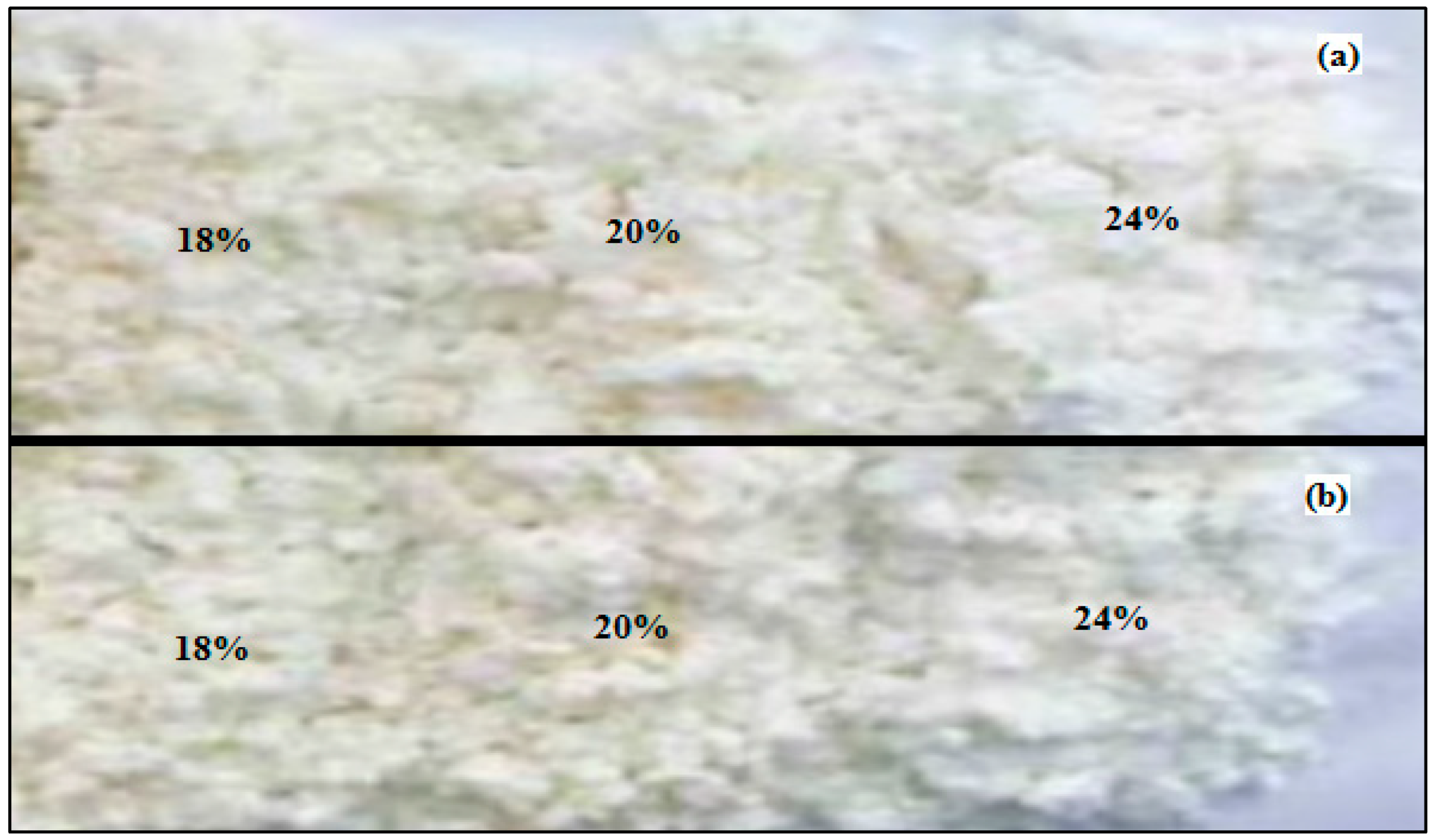 Polymers 14 03208 g008