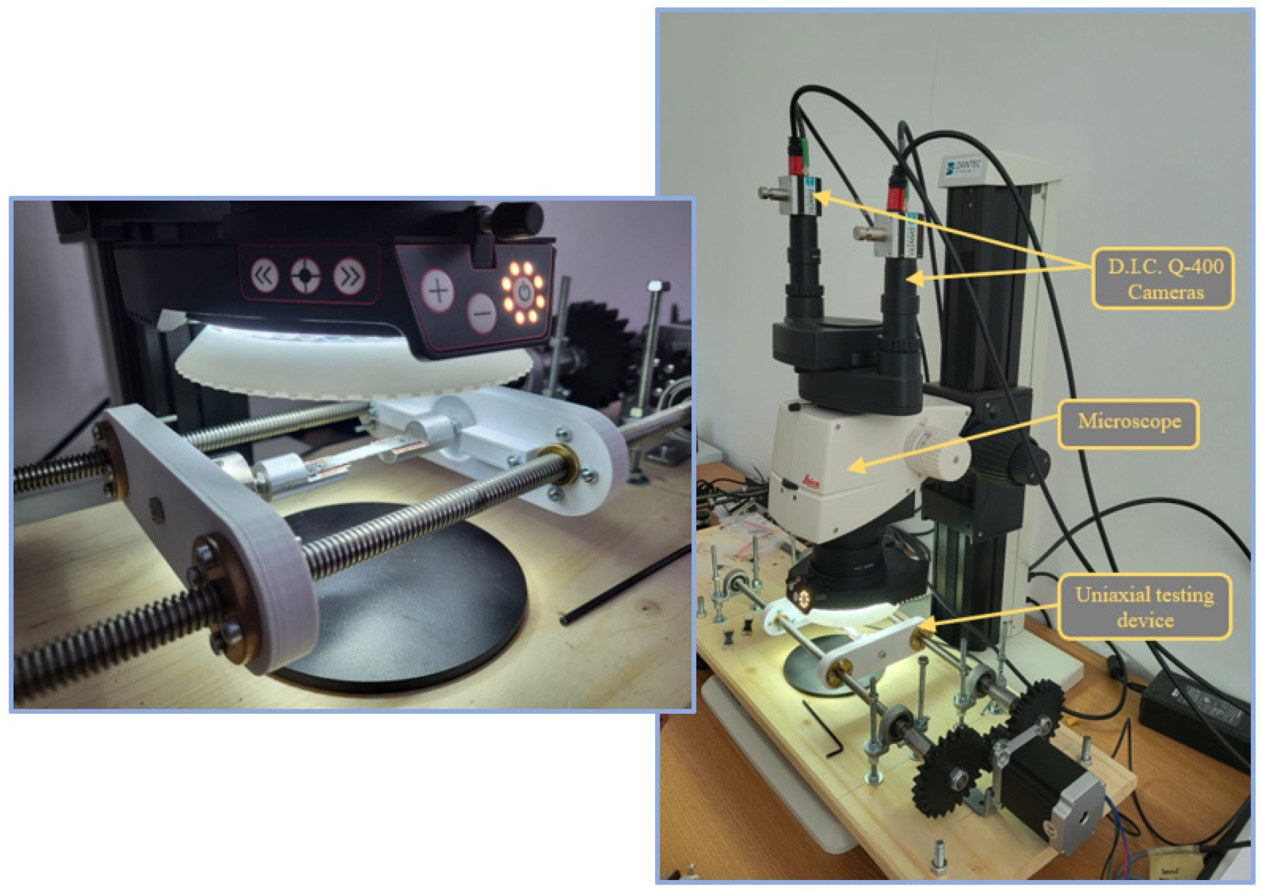 Polymers 14 03213 g003