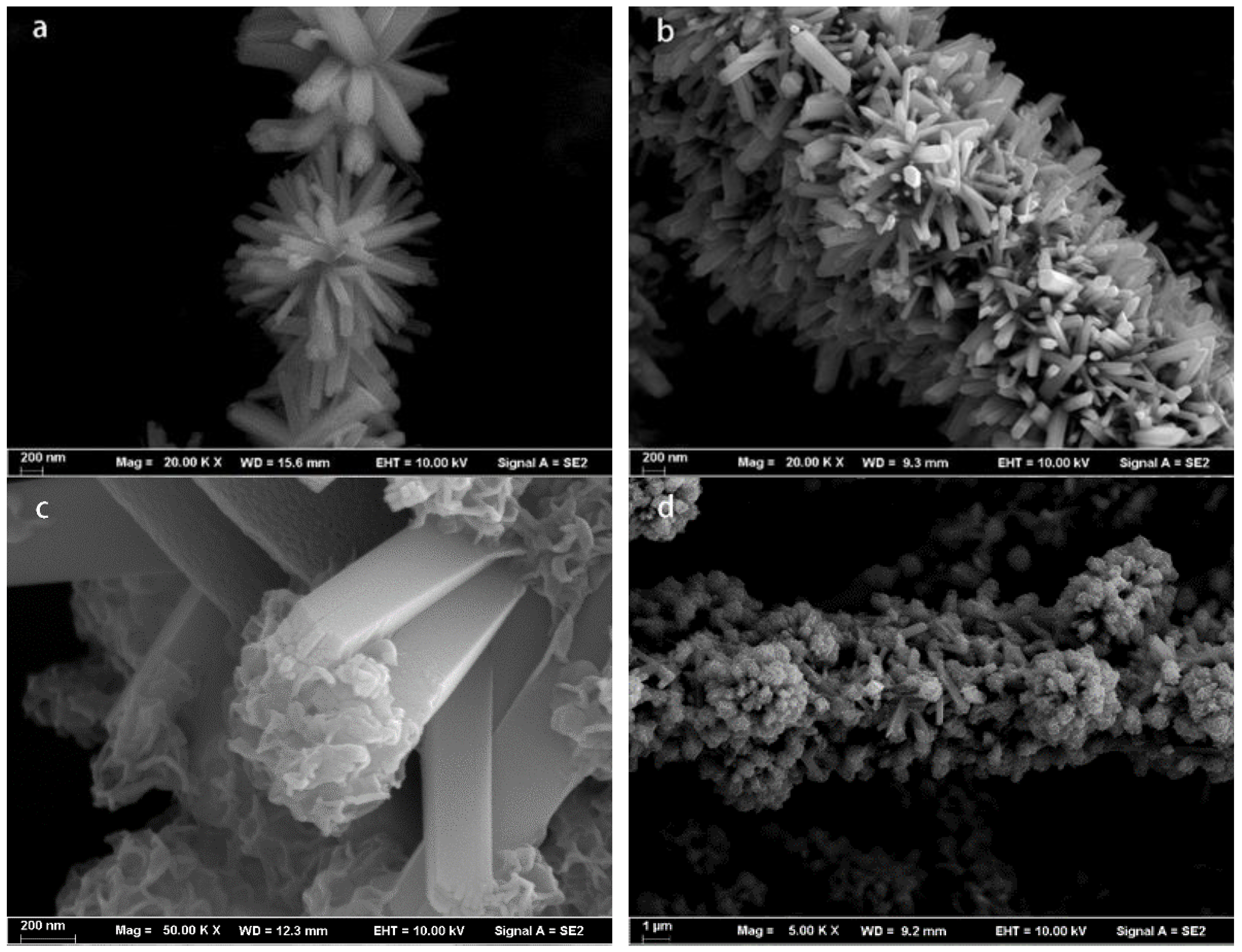 Polymers 14 03230 g003