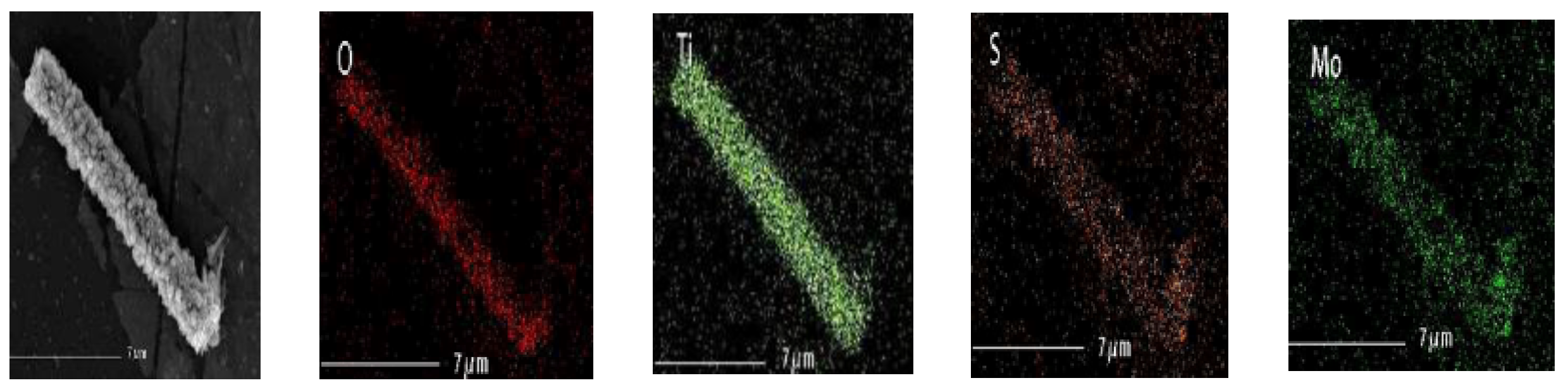 Polymers 14 03230 g005
