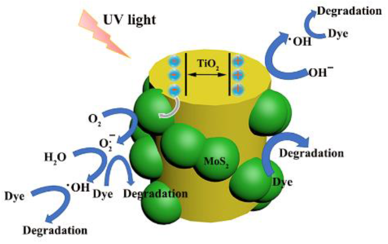 Polymers 14 03230 g010