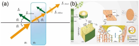 Polymers 14 03234 g001