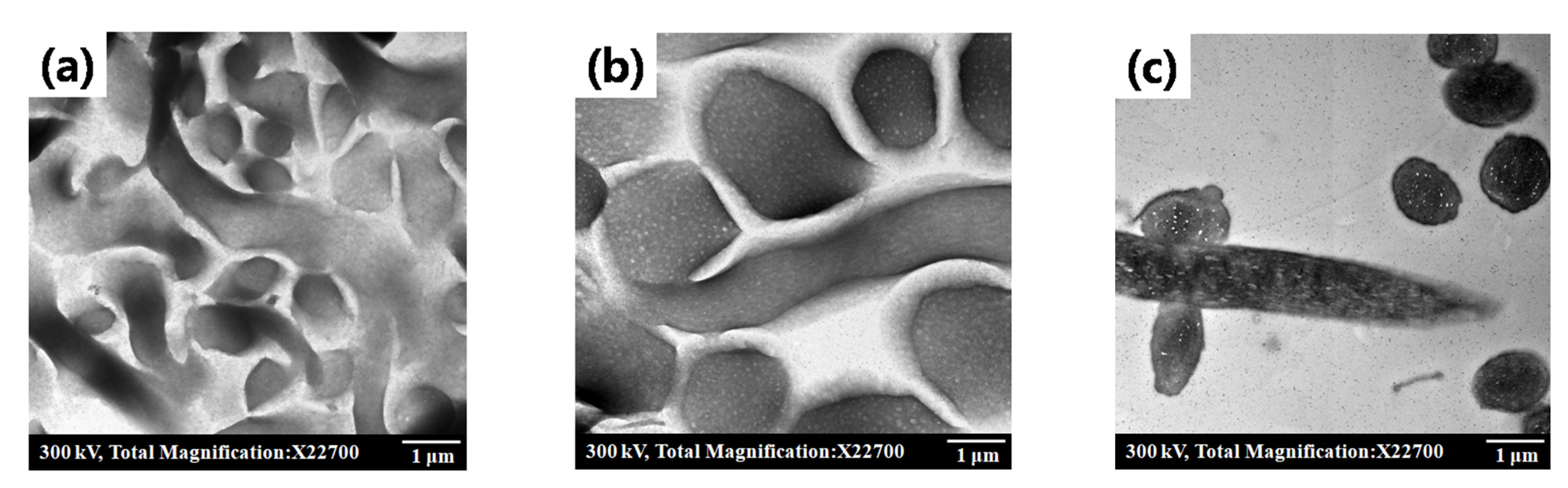 Polymers 14 03236 g003