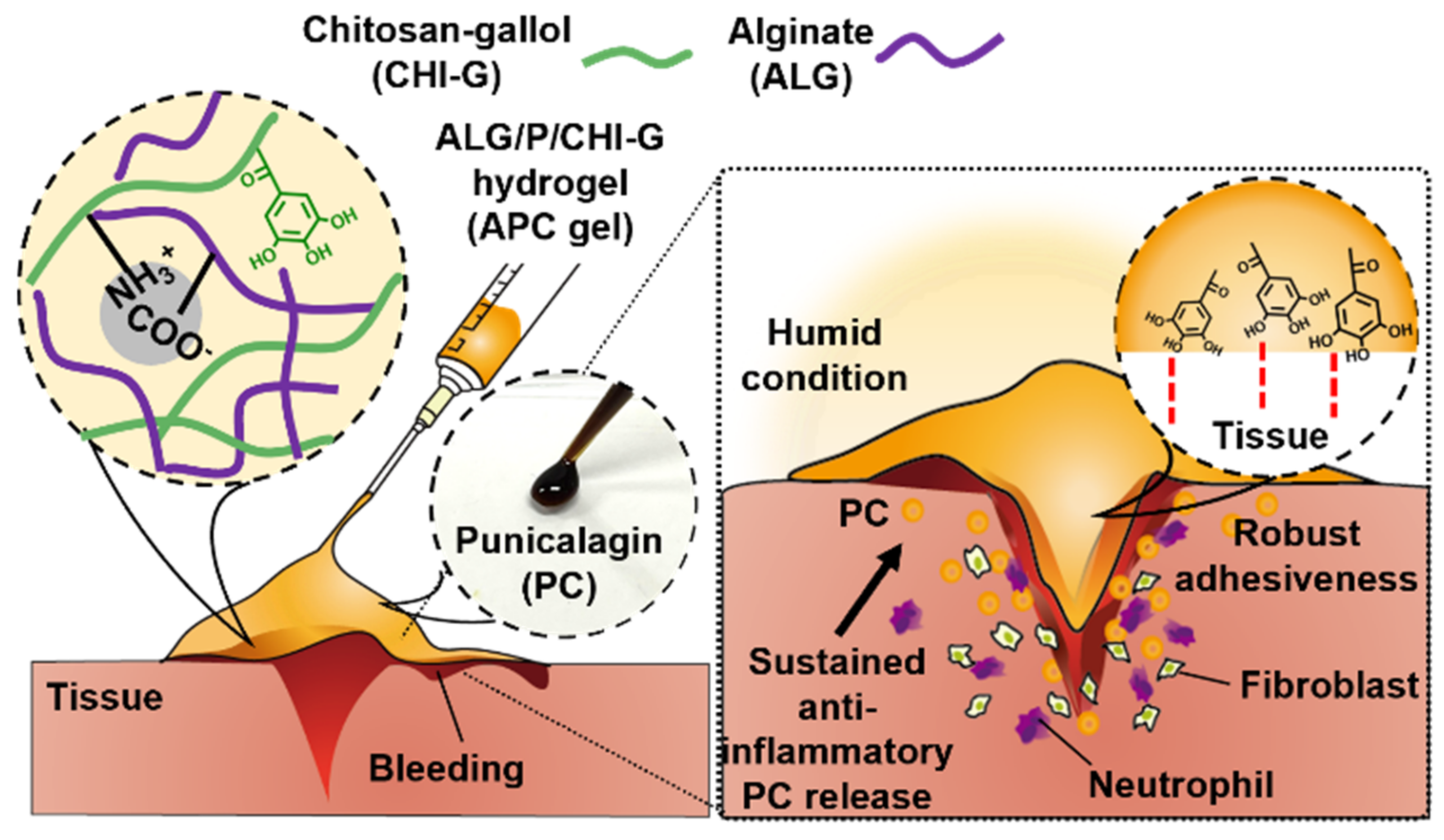 Polymers 14 03248 g001