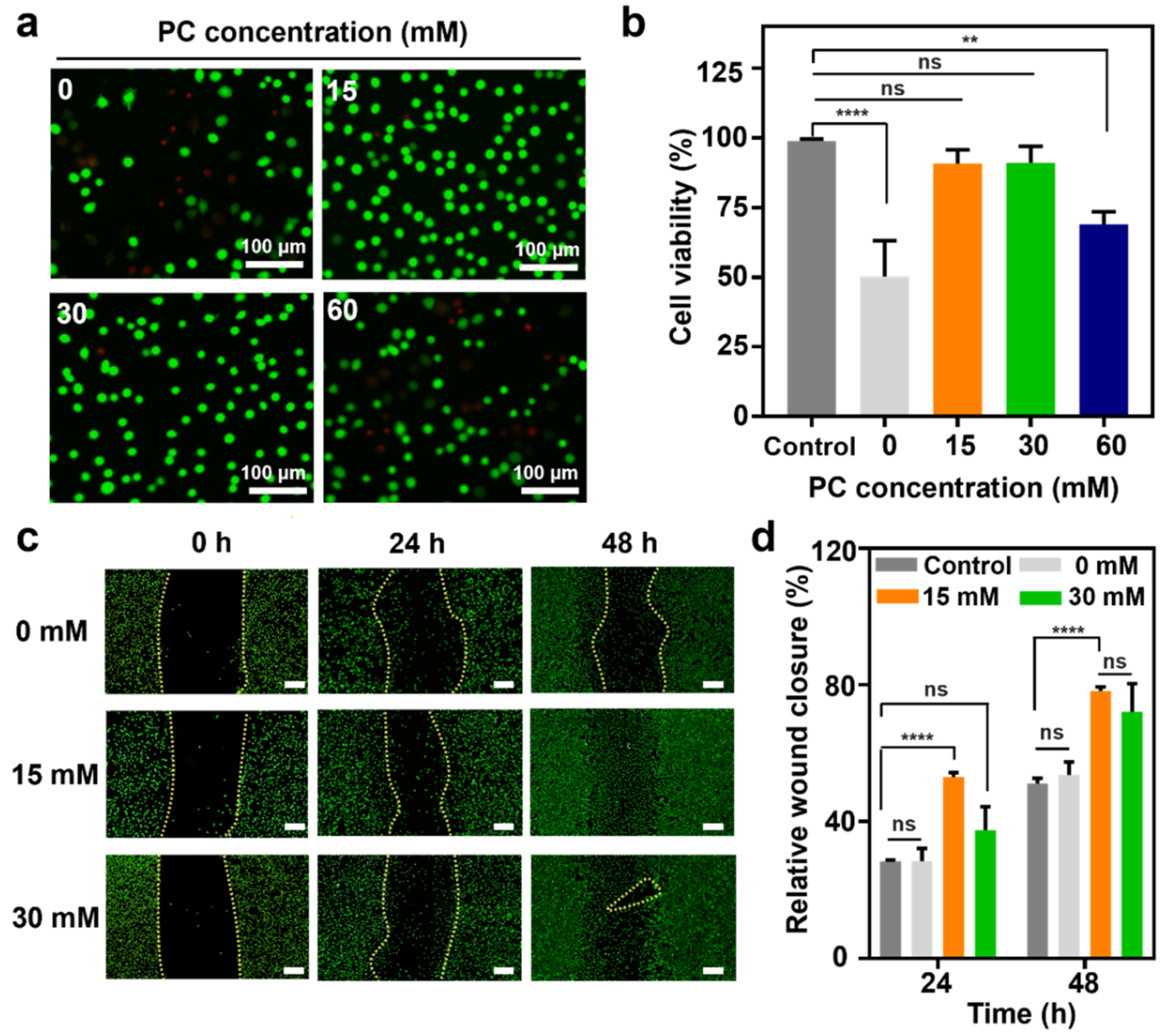 Polymers 14 03248 g006