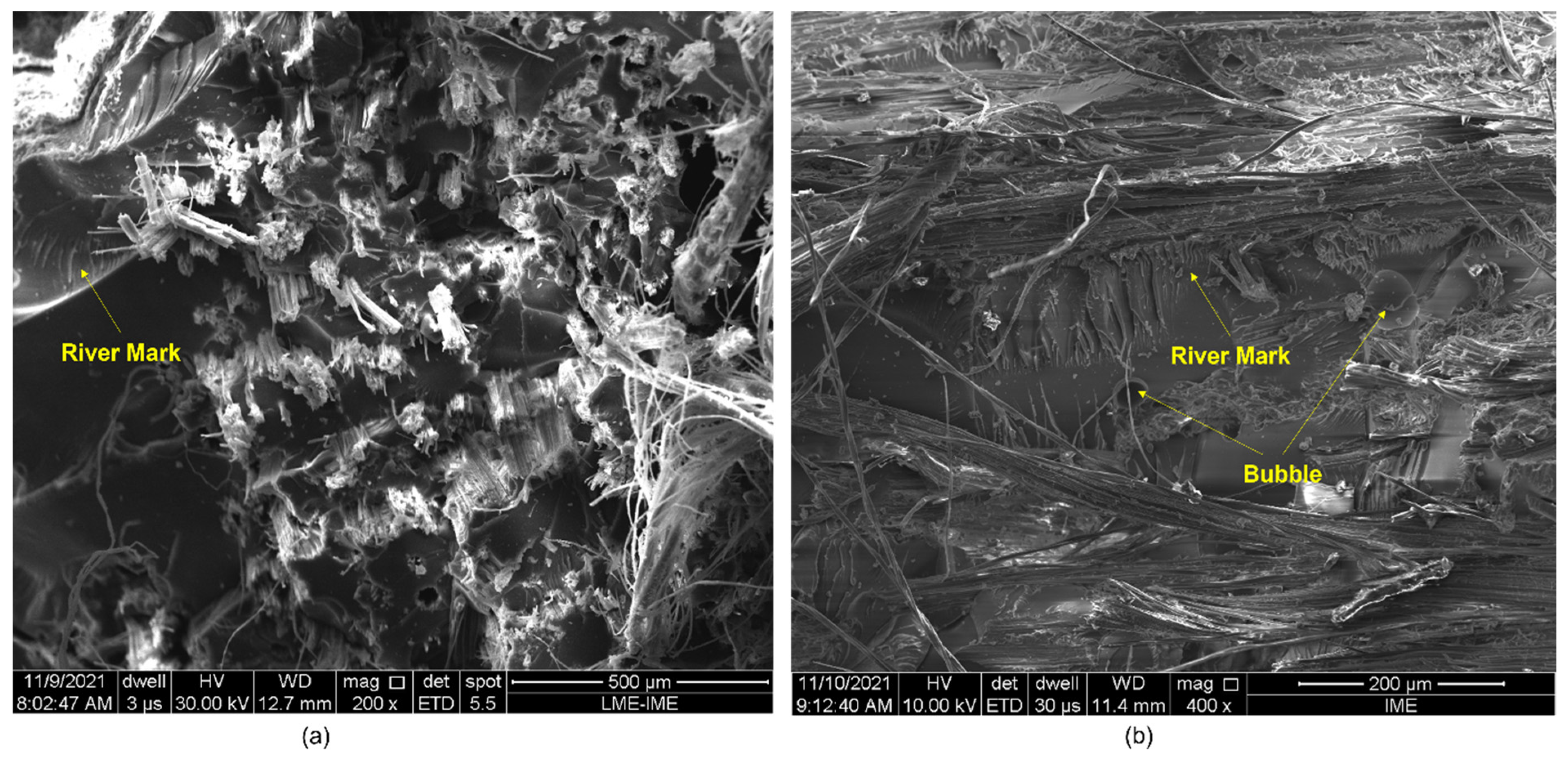 Polymers 14 03249 g006