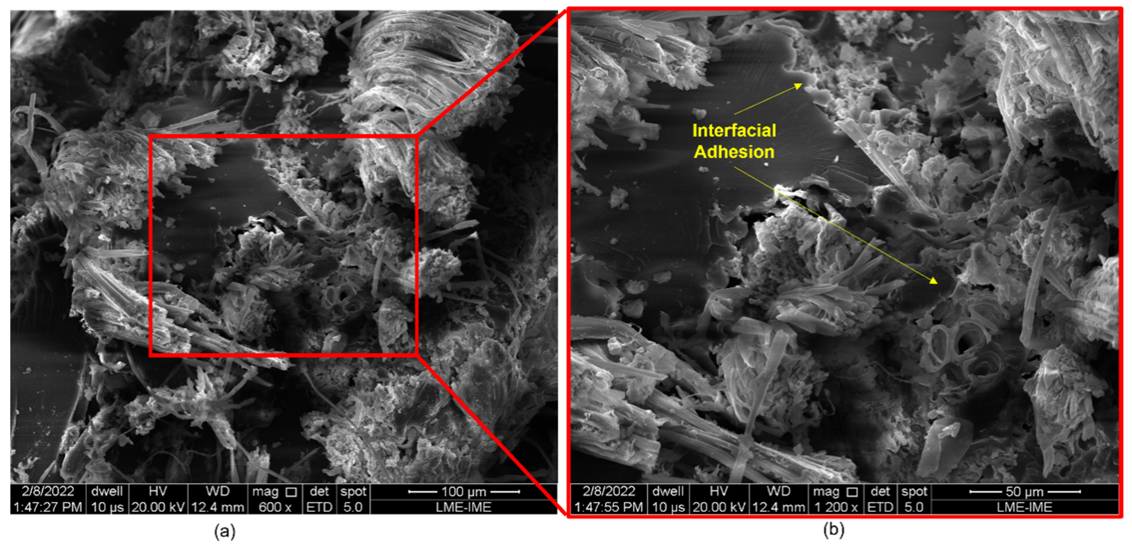 Polymers 14 03249 g008