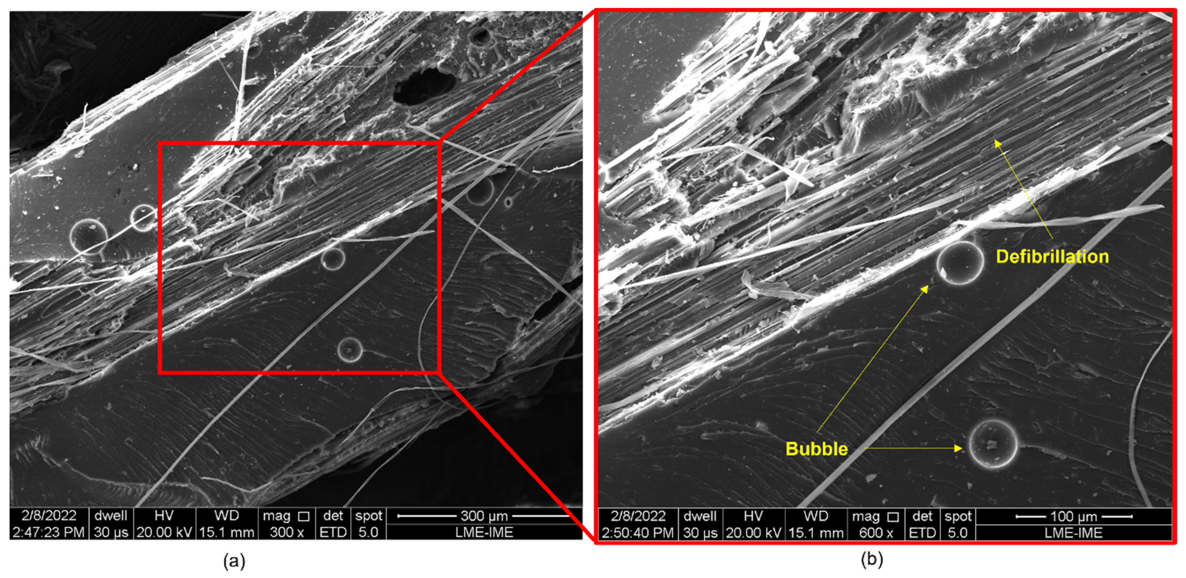 Polymers 14 03249 g010