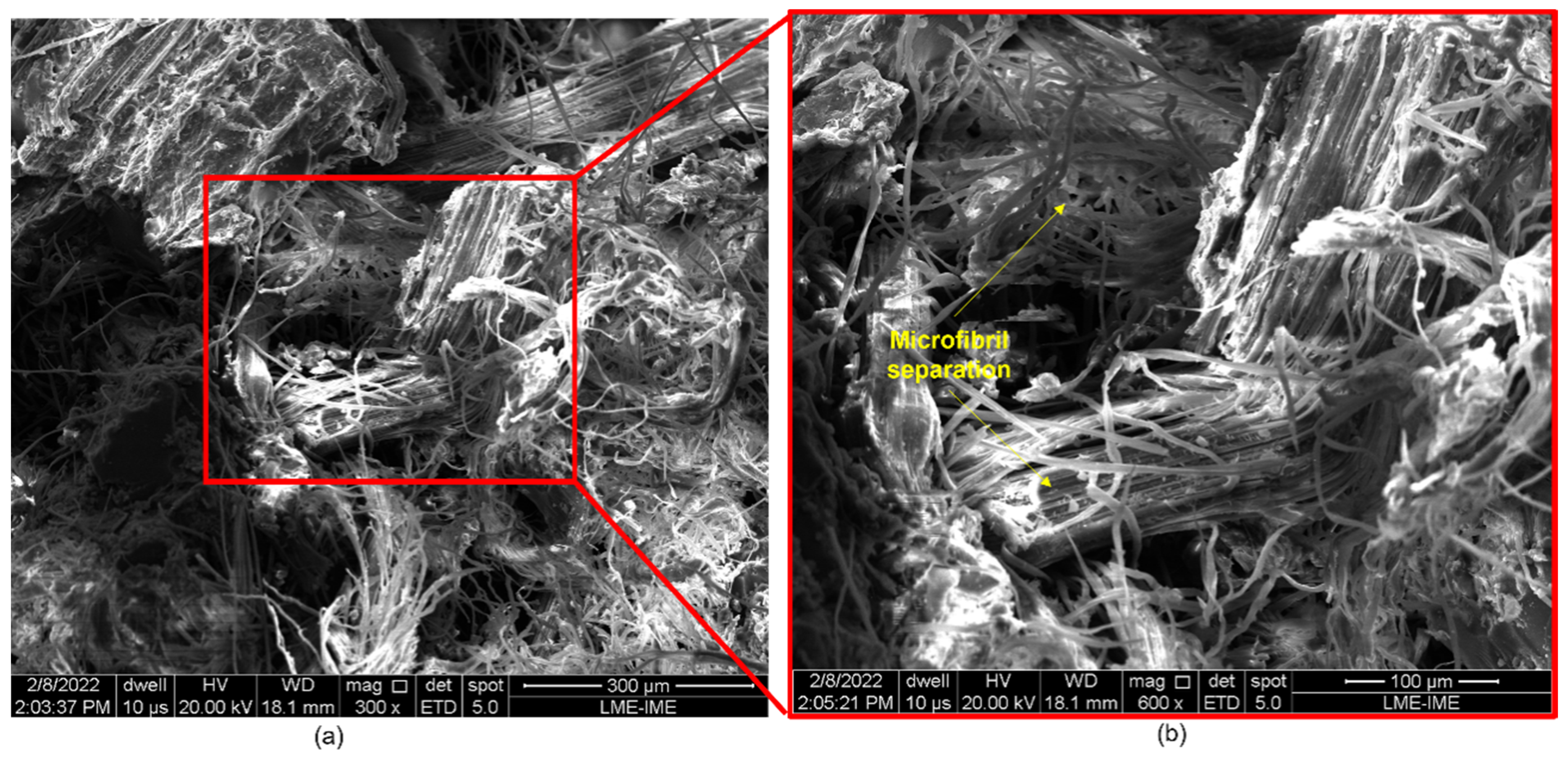 Polymers 14 03249 g011