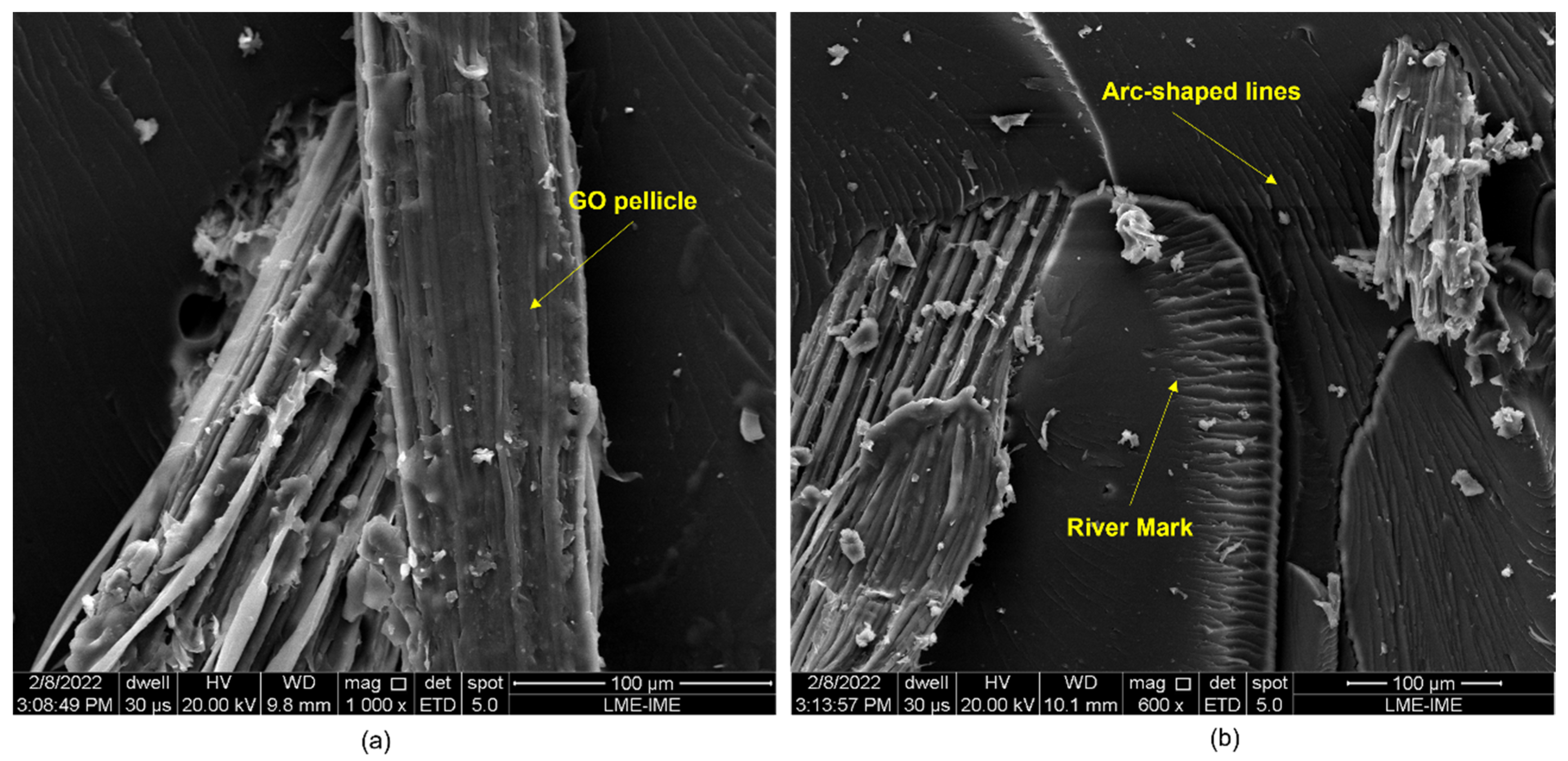 Polymers 14 03249 g012