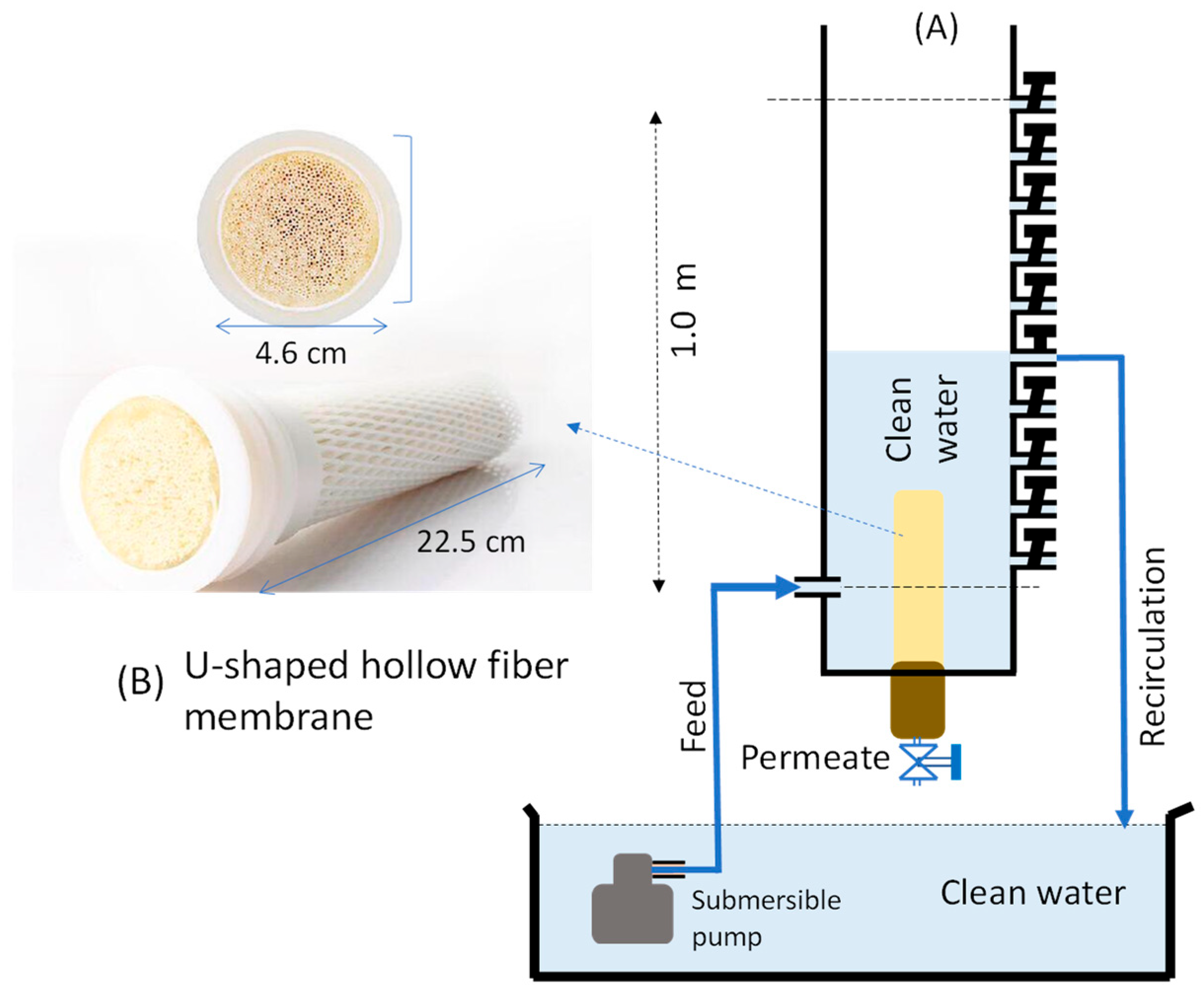 Polymers 14 03254 g001