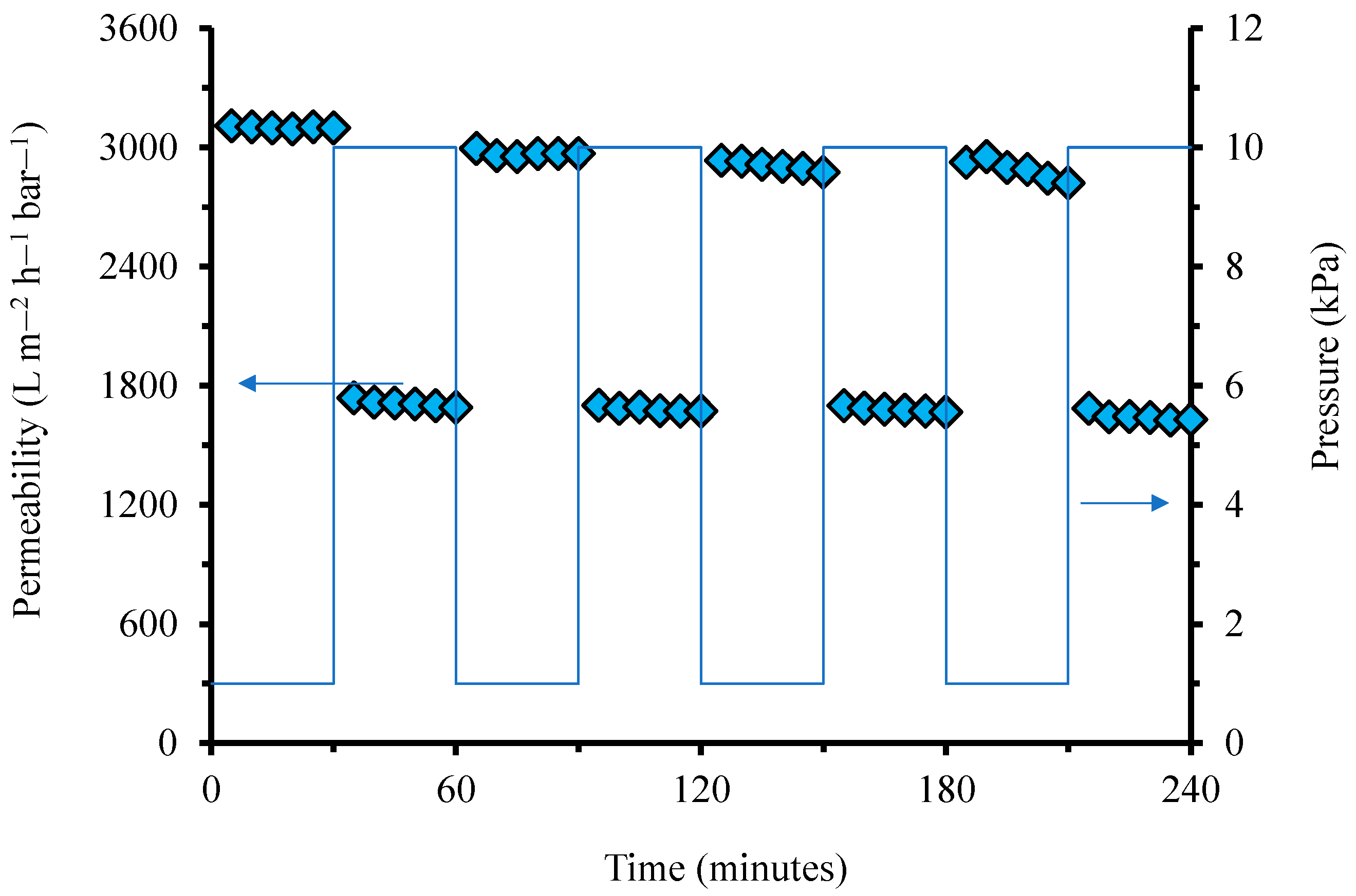Polymers 14 03254 g006