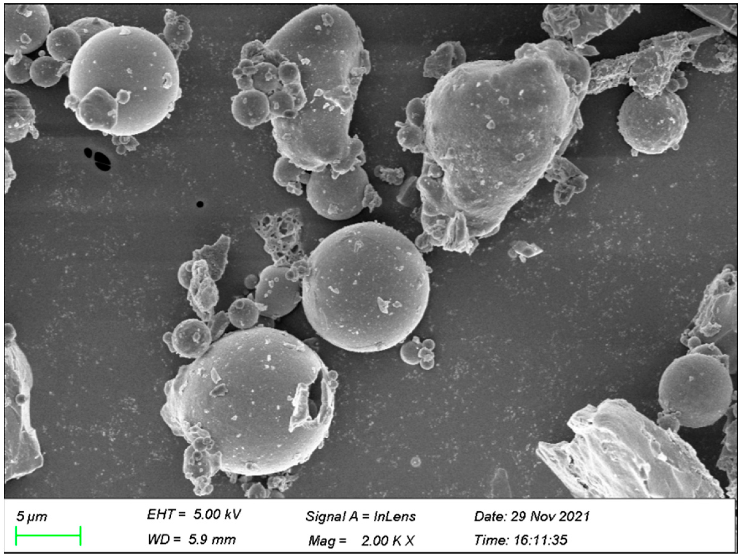 Polymers 14 03258 g001