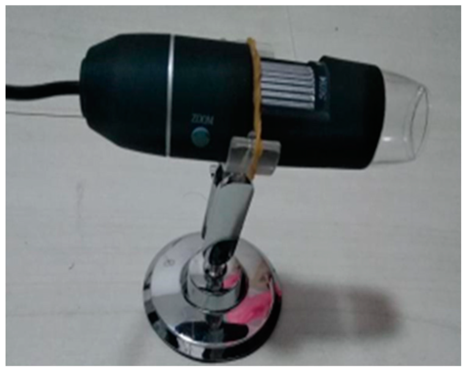 Polymers 14 03258 g005